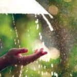 Common Dreams During the Monsoon Season: Unveiling Rainy Reveries