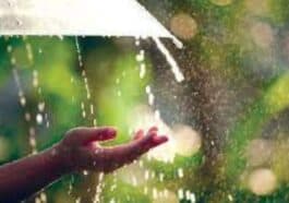 Common Dreams During the Monsoon Season: Unveiling Rainy Reveries