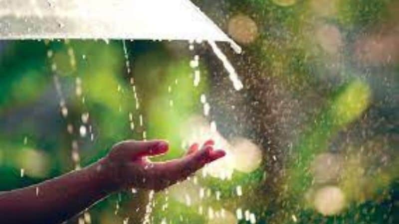Common Dreams During the Monsoon Season: Unveiling Rainy Reveries