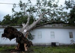 Hurricane Beryl Causes Massive Power Outages and Heat Crisis in Texas