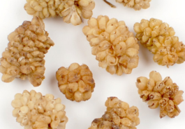 The Perfect 4 PM Snack for Diabetics: Dehydrated Mulberries
