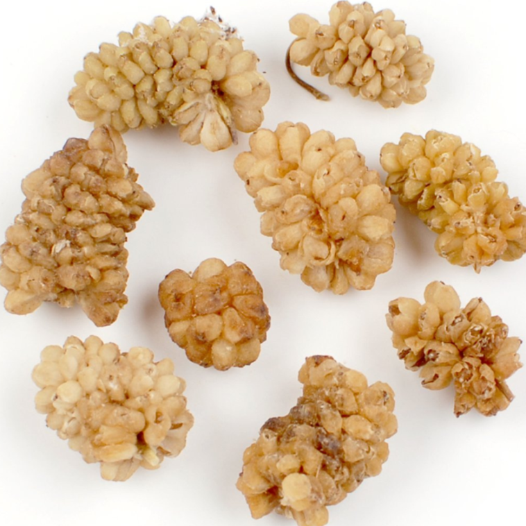 The Perfect 4 PM Snack for Diabetics: Dehydrated Mulberries