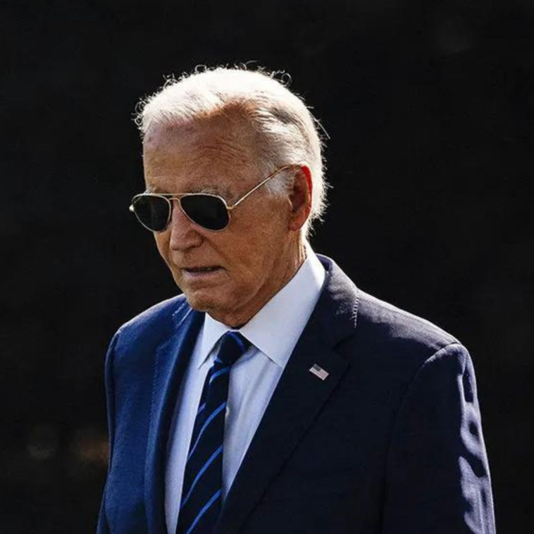 Democrats calls on Biden to drop out after he vows to run