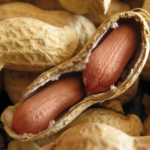 Australia Leads the Way in Peanut Allergy Treatment with New Immunotherapy