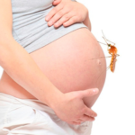 Managing Dengue Fever Risks During Pregnancy: Essential Insights