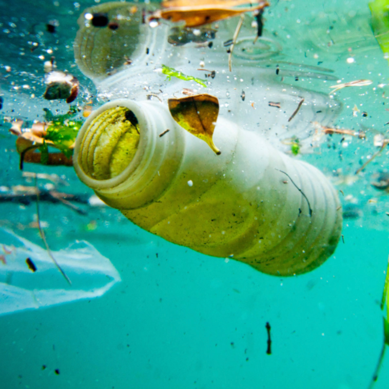 Beyond Headlines: A Look at the Science, Challenges, and Potential of Plastic-Eating Bacteria.