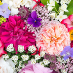 Attractive flowers to see in the UK during August