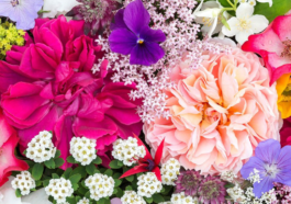 Attractive flowers to see in the UK during August