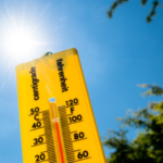How the world is impacted as Copernicus records highest temperature