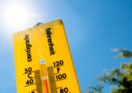 How the world is impacted as Copernicus records highest temperature