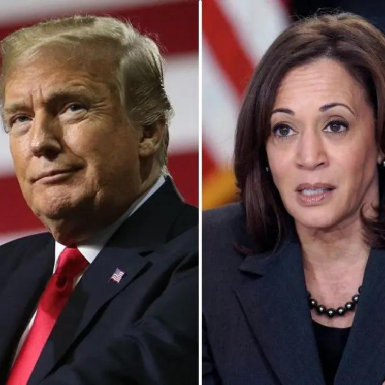 Donald Trump questioned Kamala Harris' race during an argument at a convention