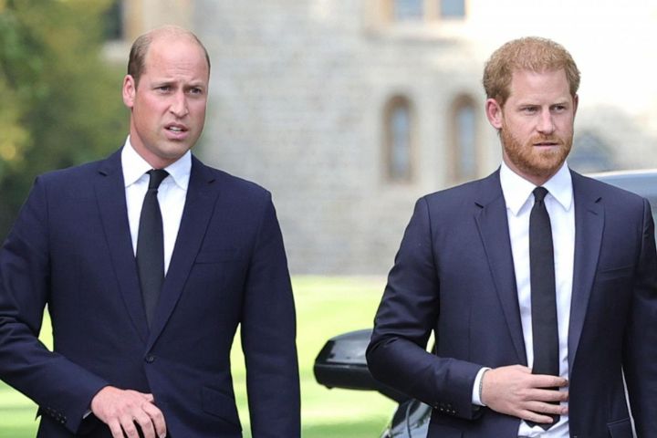 Prince William is furious at Prince Harry over comment on his mother