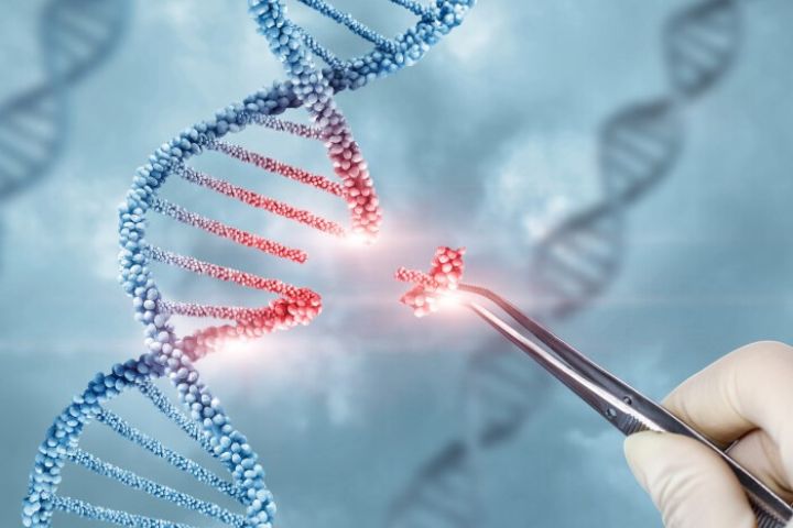 Gene Editing Therapy to be used to cure blood disorder