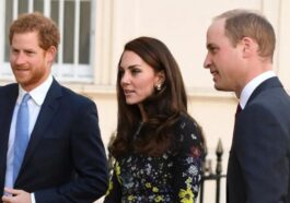 William and Kate are upset by Harry's inheritance plans.