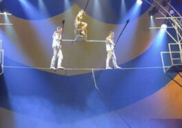 Circus Performer Suffered Injuries After Fall From Tightrope