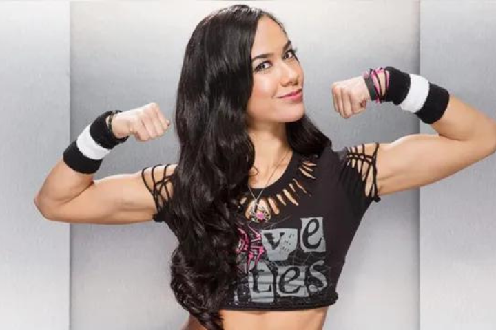 AJ Lee Provides Major Update On Her WWE Return Rumors