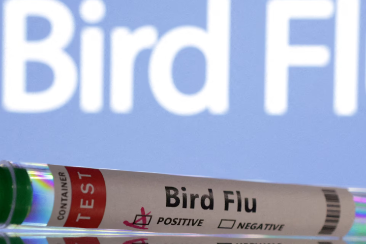 Close Contact with Bird Flu Patient Raises Questions