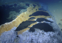 The 'Hot Tub of Despair': A Lethal Underwater Pool in Mexico