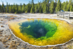 Yellowstone's Morning Glory Pool Changes Color Due to Human Impact