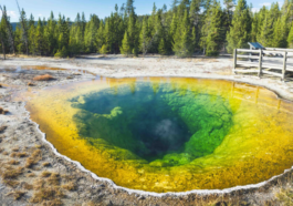 Yellowstone's Morning Glory Pool Changes Color Due to Human Impact