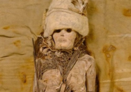 Scientists Sequence DNA from 3,600-Year-Old Cheese