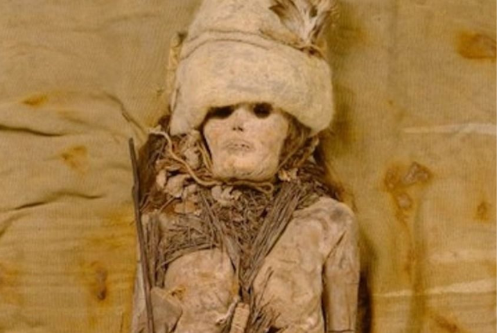 Scientists Sequence DNA from 3,600-Year-Old Cheese