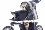 Dog Strollers Surpass Baby Strollers Sales In South Korea