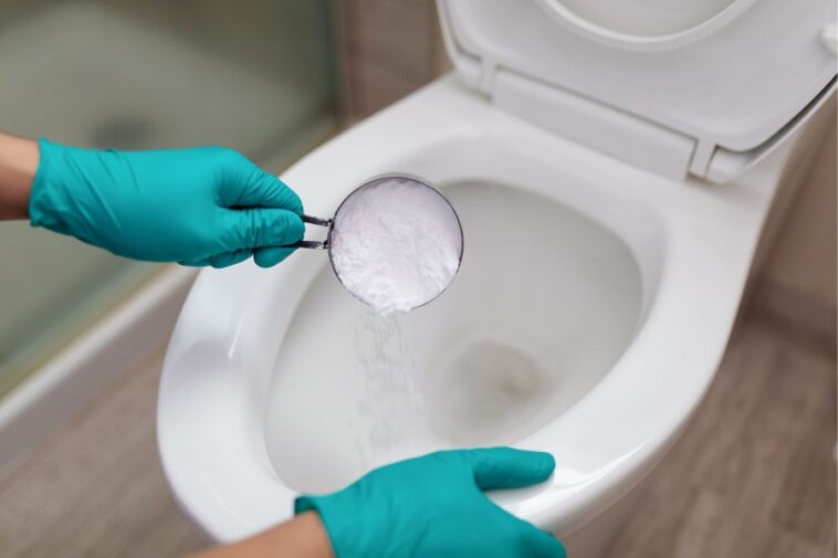 How To Unclog A Toilet With Or Without A Plunger