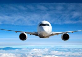 Mouse in Meal Sparks Emergency Landing Drama