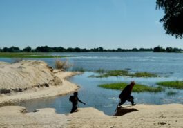 NASA: Sahara Desert Turns Green in Rare Transformation