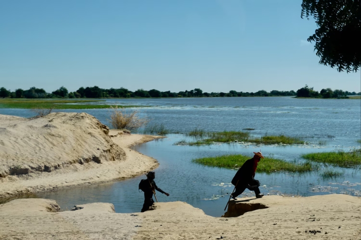 NASA: Sahara Desert Turns Green in Rare Transformation