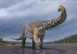 Carnivorous Dinosaurs in Antarctica-Linked Australia