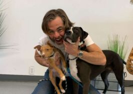 Chris Pine Works To Find Homes For Dogs Rescued From Euthanasia