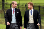 Prince William and Prince Harry's Rift Continues Amid Royal Tensions