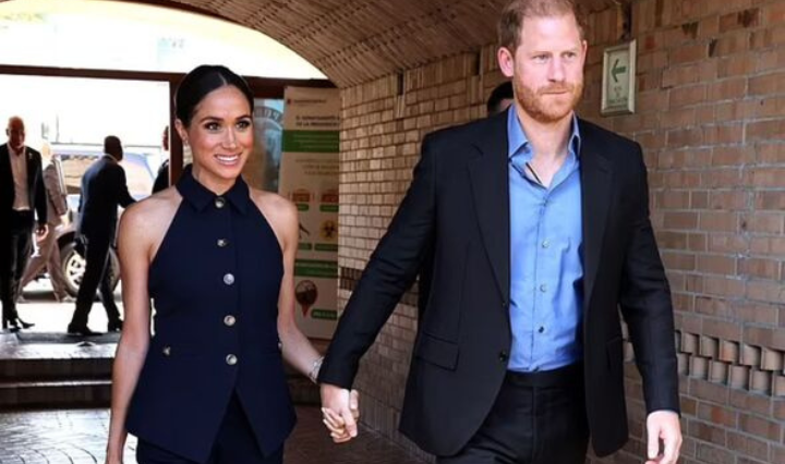 Tina Brown Slams Meghan Markle's Ideas and Harry's Naivety