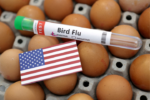 Due to worker resistance to testing, California's human bird flu cases may be underreported