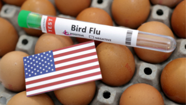 Due to worker resistance to testing, California's human bird flu cases may be underreported
