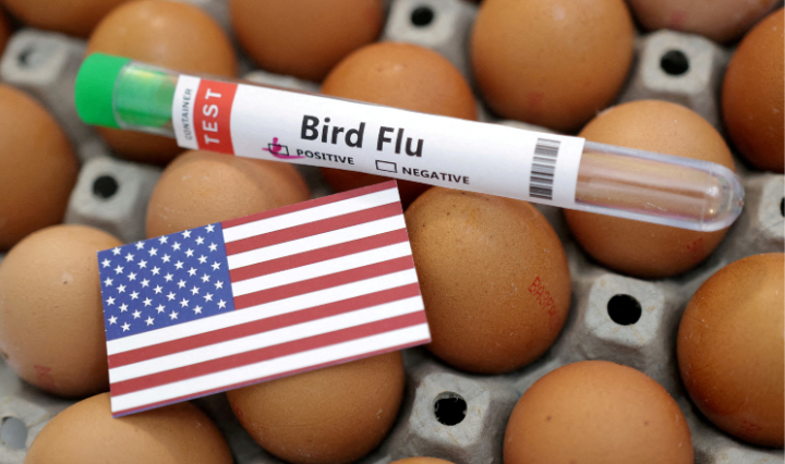 Due to worker resistance to testing, California's human bird flu cases may be underreported