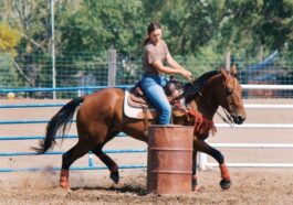 Tragic Loss: Miss Teen Rodeo Kansas Killed in Car Accident
