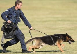 The heroic Indian State Police K9 retires after serving for 8 years