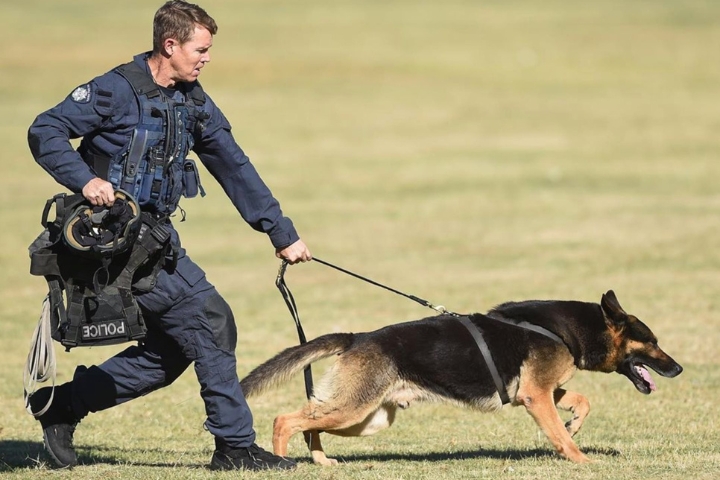 The heroic Indian State Police K9 retires after serving for 8 years