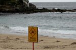 Sydney Beaches Shut Down Over Mysterious Tar Balls
