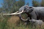 Newly Discovered Giant Elephant Skull in Kashmir Reveals Unidentified Palaeoloxodon Species