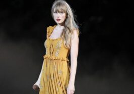 Taylor Swift's 'White Horse' Lyric Thrills Eras Tour Fans