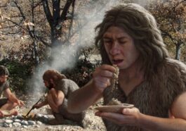 Study Shows Ancient Humans Loved Carbs More Than Meat