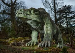 Scientists Create Robotic Models to Study Evolution of Extinct Species