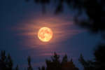 October Full Moon: Discover Its Zodiac Sign Meanings Today!