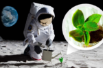 NASA To Grow Fungal And Algae Structures For Moon Habitats