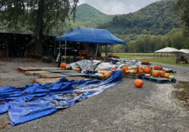 Smoky Mountains Tourism Hit Hard by Hurricane Helene