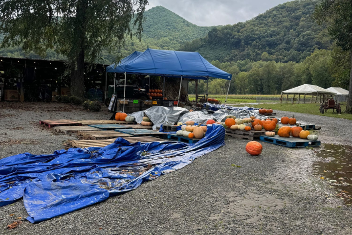Smoky Mountains Tourism Hit Hard by Hurricane Helene